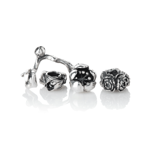 Silver Charms Silver Charms