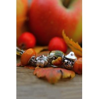 Little Pumpkin| Silver Charm
