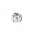Little Pumpkin| Silver Charm