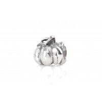 Little Pumpkin| Silver Charm