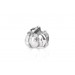 Little Pumpkin| Silver Charm