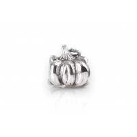 Little Pumpkin| Silver Charm