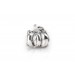 Little Pumpkin| Silver Charm
